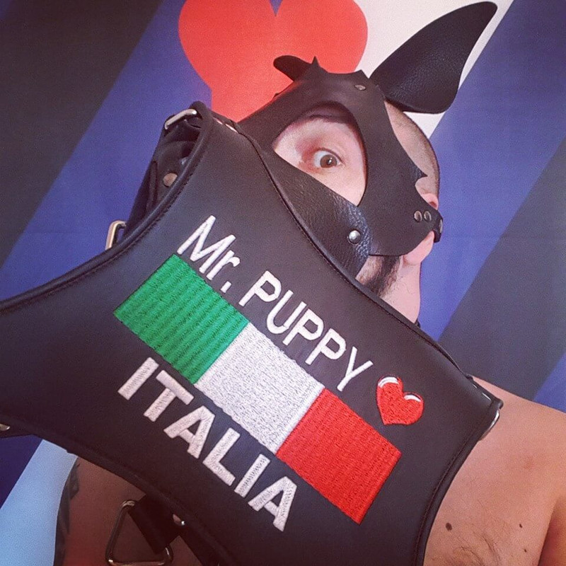 mr puppy (1)