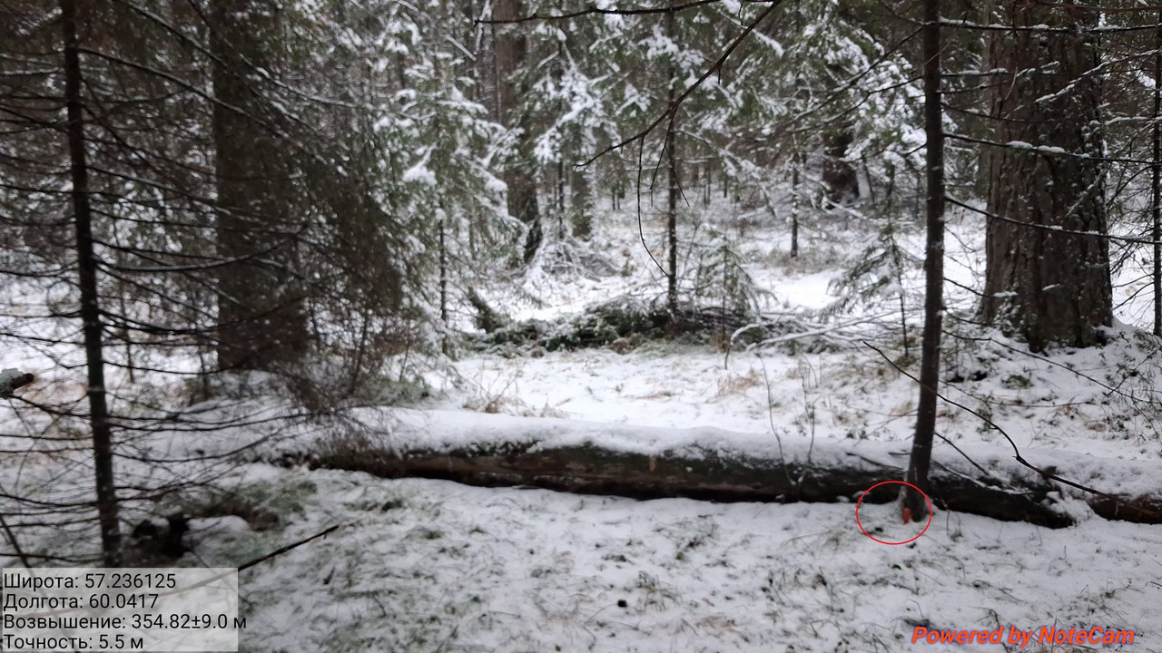 023 (Копировать)