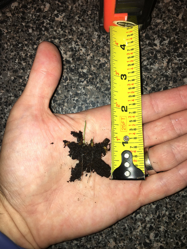 D66FDBC4-3DC8-4FF3-A8EB-EADE1D3BDEAB