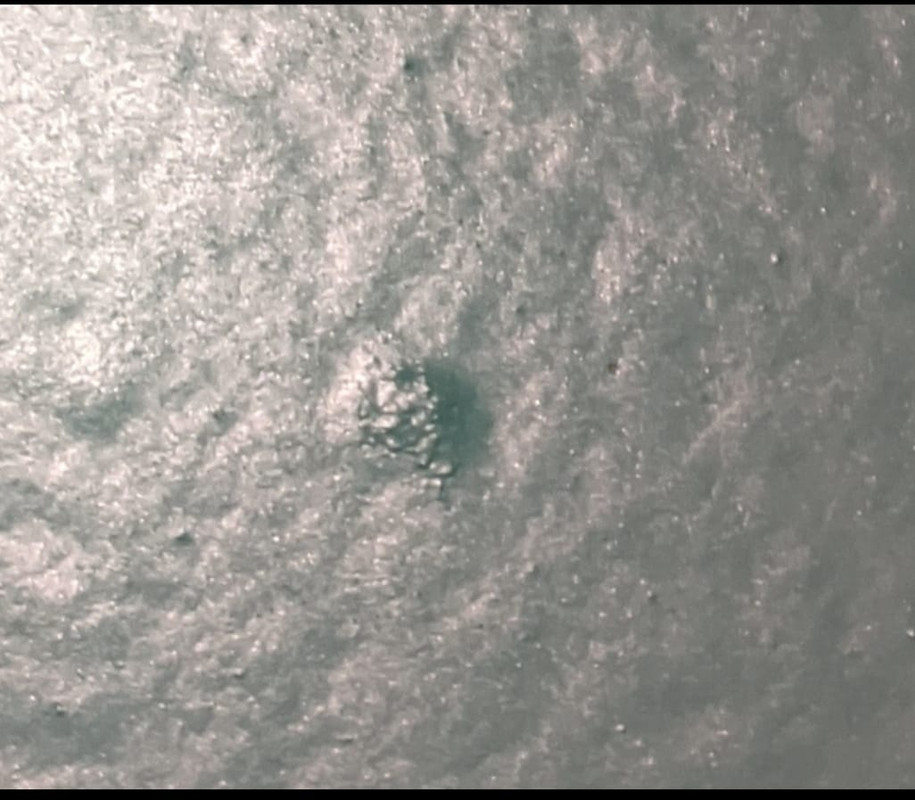 WhatsApp Image 2022-08-23 at 8.44.43 AM