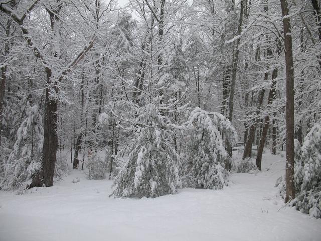 IMG-1986.jpg