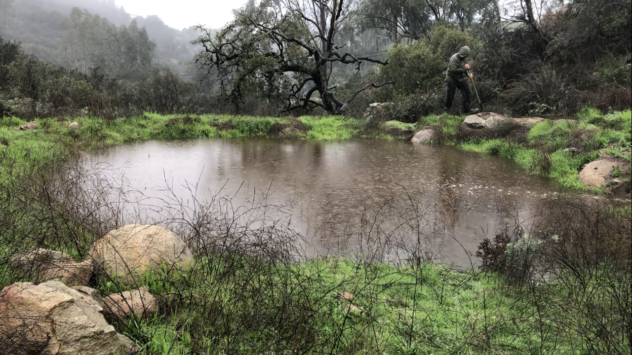 5E3E1628-C2D1-4745-A4BB-27269C90A7FD