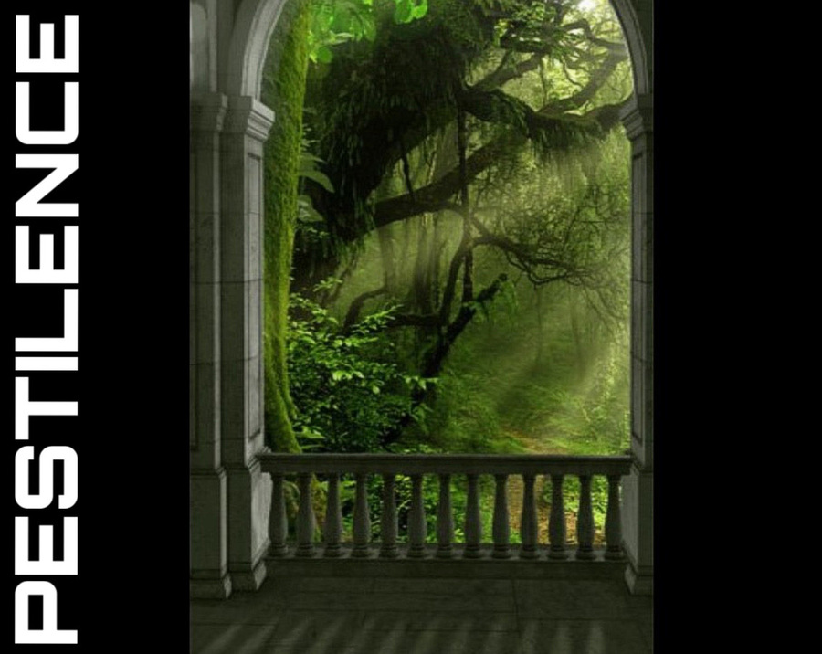 Forest-Balcony-No-Door