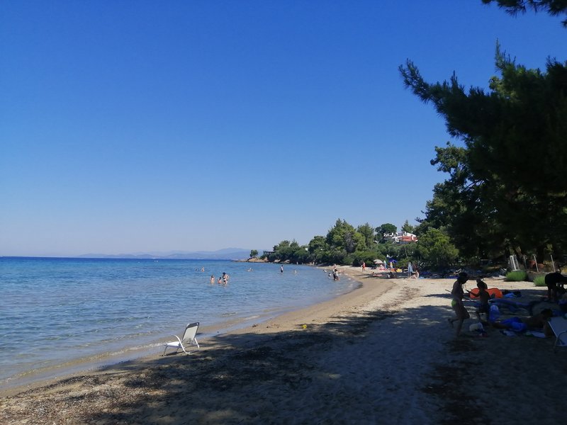 Slika