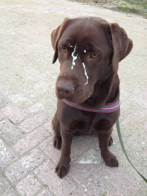 A36147C0-9B6D-4526-BAB2-E6FA53F664C2