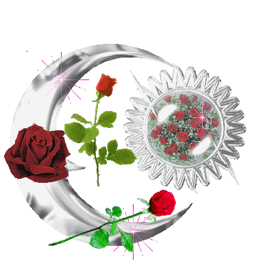 q7rtv808o34