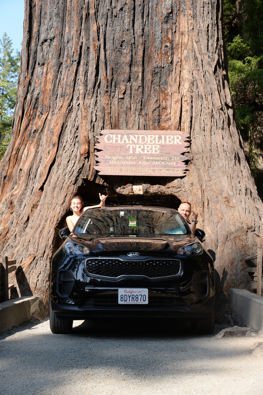 Árboles gigantes, fuegos y volcanes extintos - Oregon y California norte (2018) - Blogs de USA - Rogue River y costa norte de California (43)