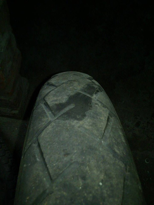 11004470_10204631312916875_647922813_n