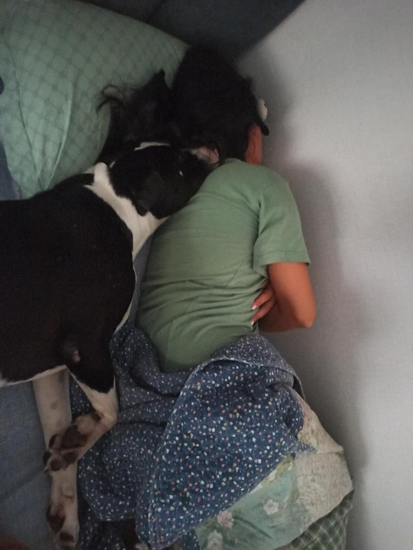 4DCAD503-A62A-45CA-B6E8-3E44E1F0478A