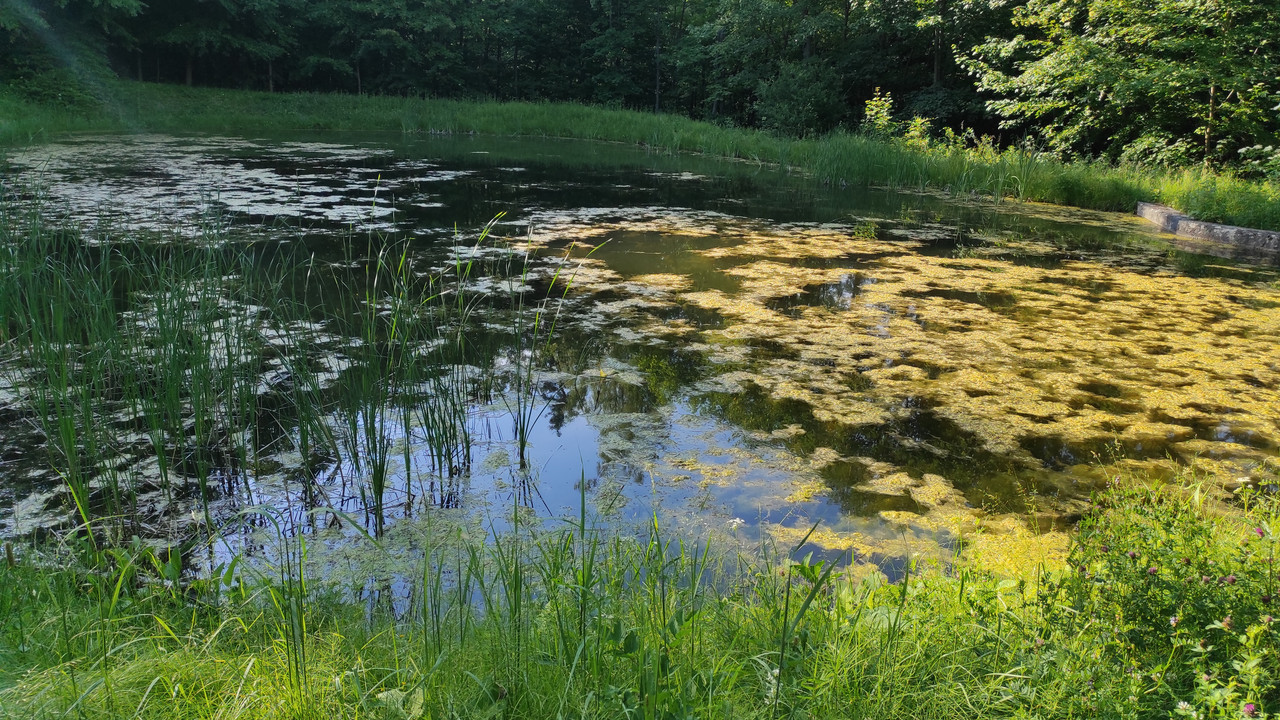 09.08 - IMG_20220616_173509 (Czesio1)