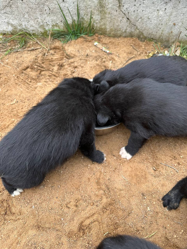 photo_2024-04-21_19-21-11 (2)