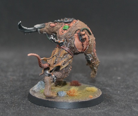 [Image: DSC-0325.jpg]