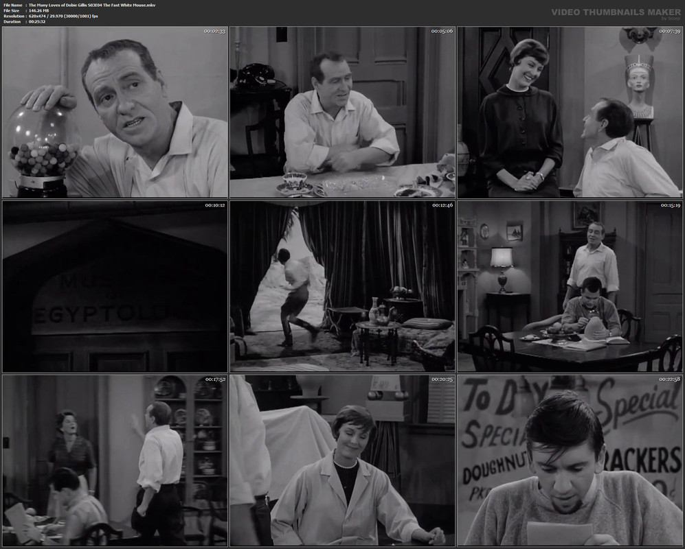 The Many Loves of Dobie Gillis S03E04 The Fast White Mouse.mkv