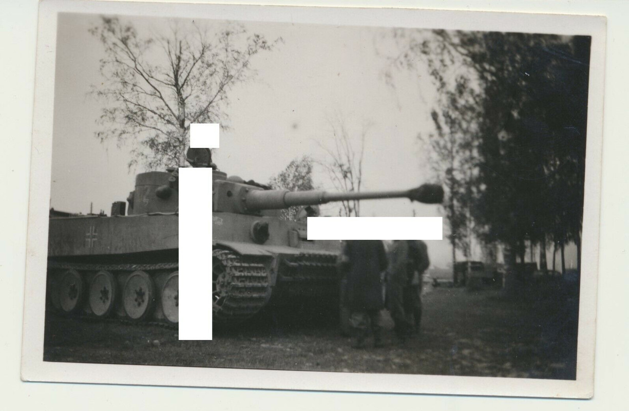 Rußland Tiger Panzer mit Wappen Elefant Schwere Pz Abt 502