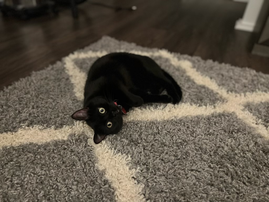 8EE6510F-B2D1-4230-9D39-0838A6FF82FC