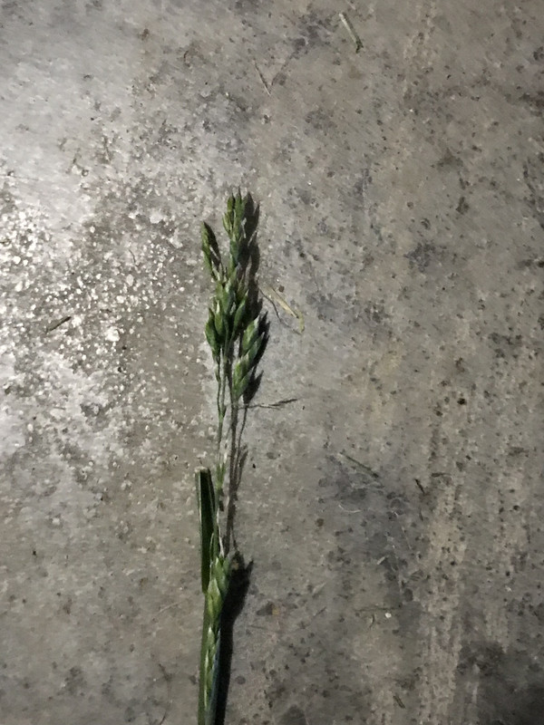 48441846-160E-448F-90F6-4EB6F6540056