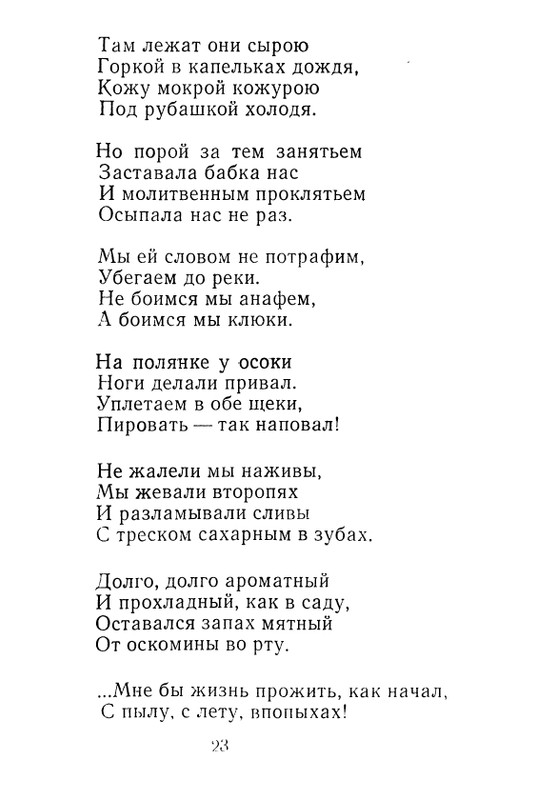 iskander-zeleny-dozhd-page-0025