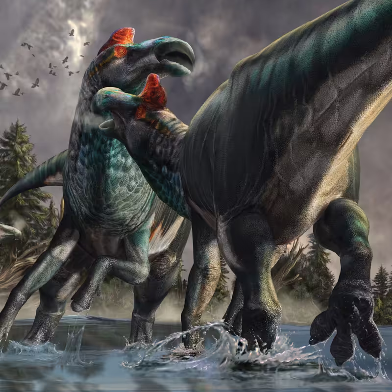 NationalGeographic_2785579_square