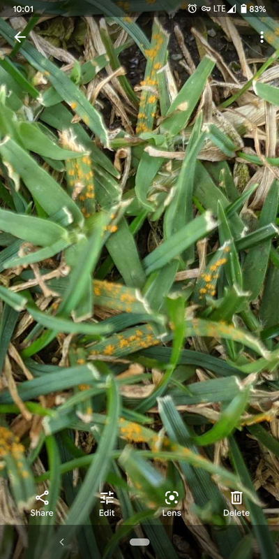 Screenshot_20210808-100152