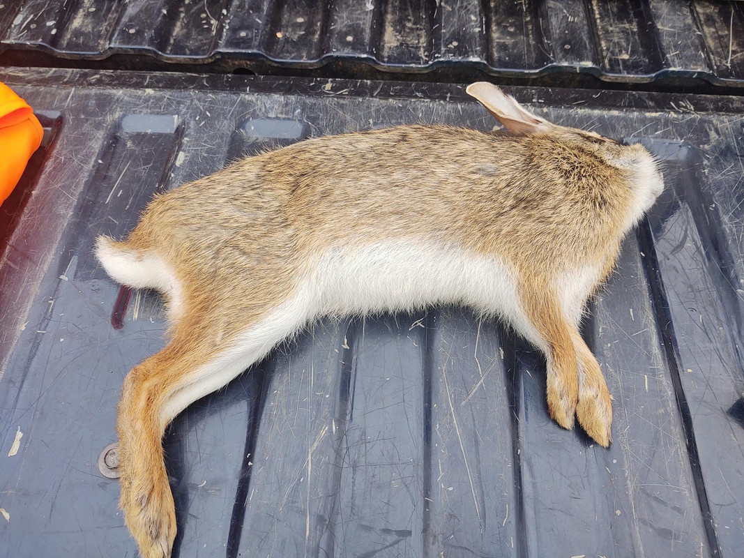 1F0684BB-38E2-4CBD-A53F-73F727EDFD07