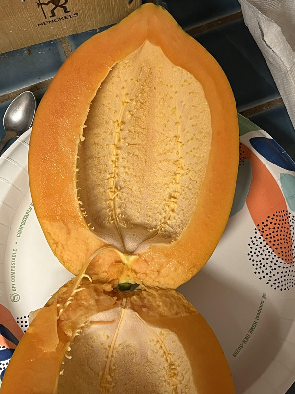 papaya