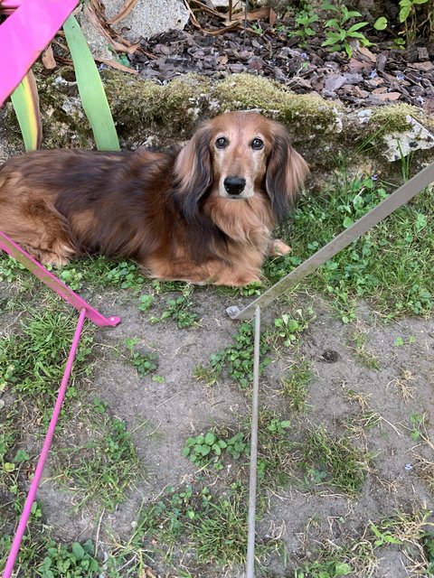 [Image: IMG-6704.jpg]