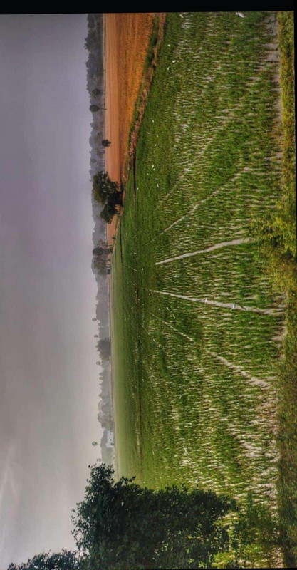 user31558_76df2ebfab5e