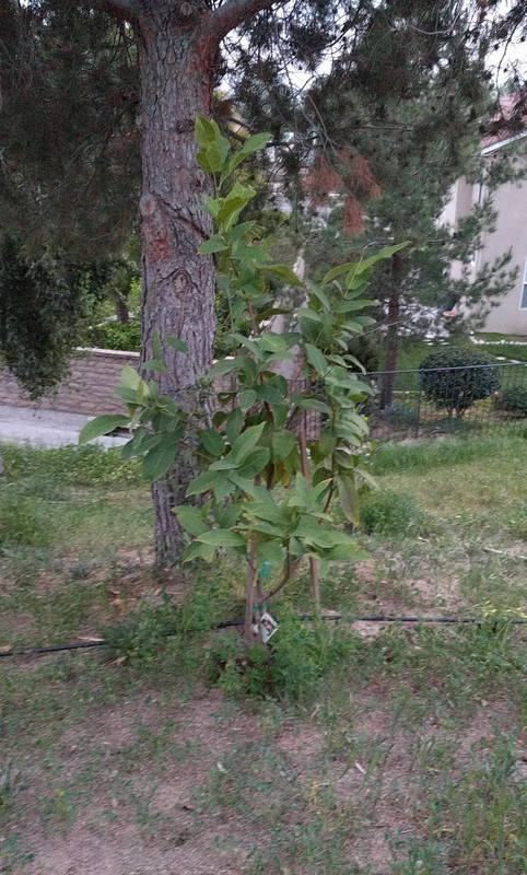 received_1844087348944002