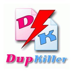 DupKiller 0.8.2 Portable