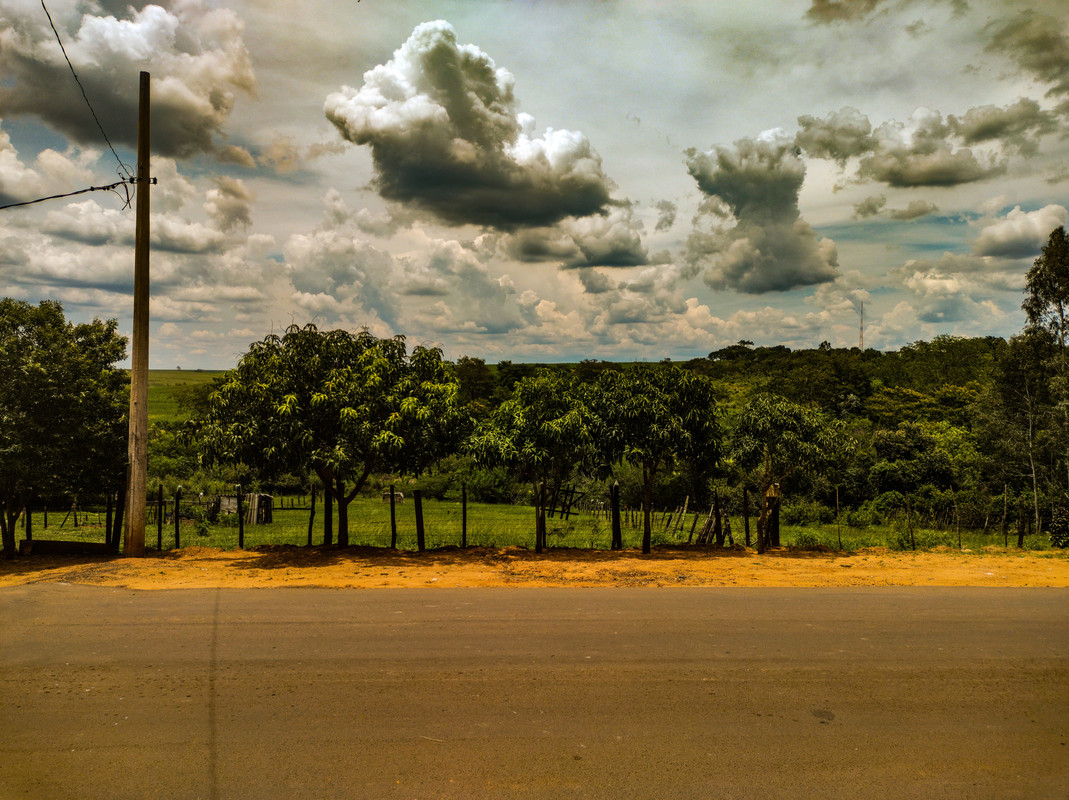 Foto teste