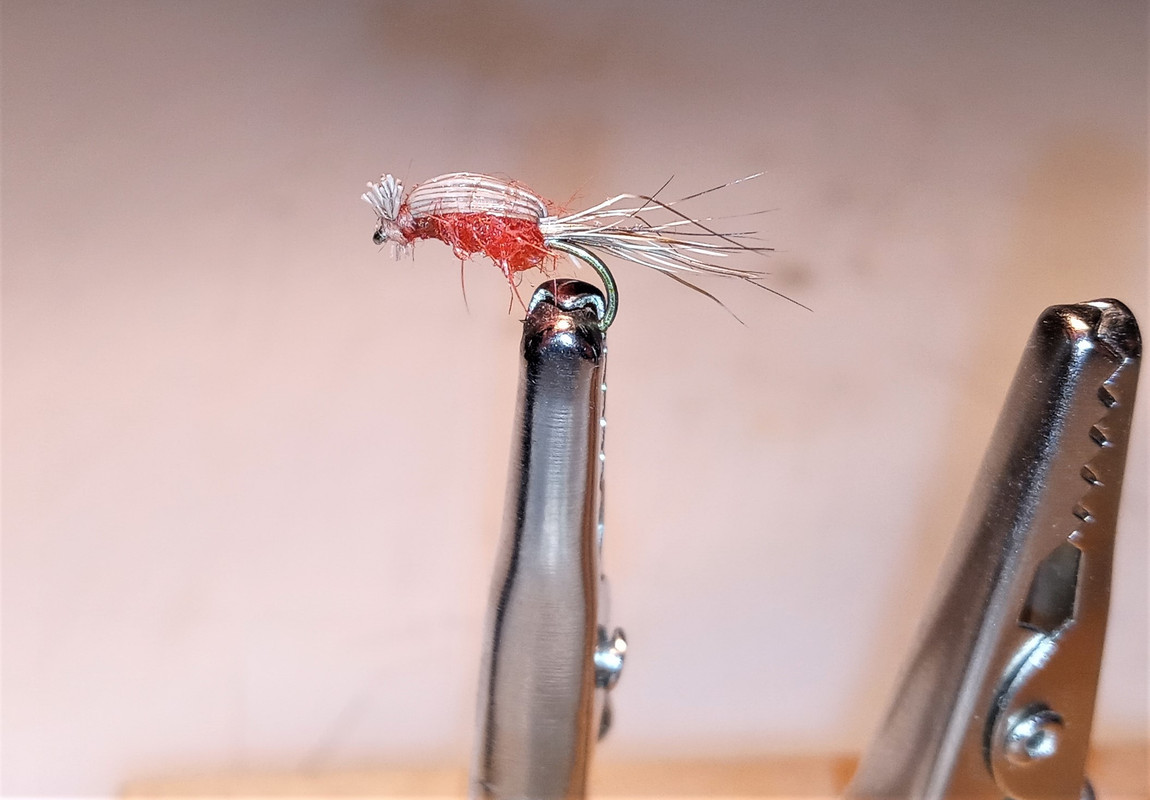 Devil Bug #1 size 16