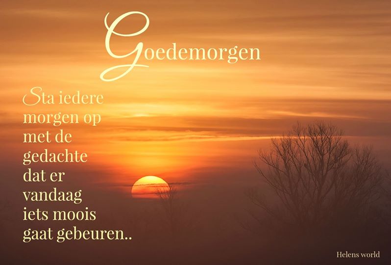 Welkom op blog Jodelsy