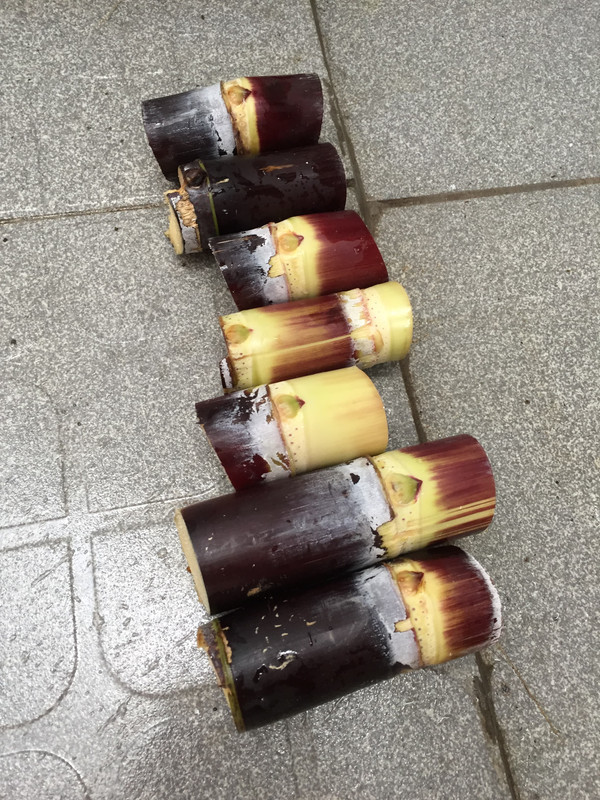 preparing-sugarcane-cuttings-for-planting.jpg