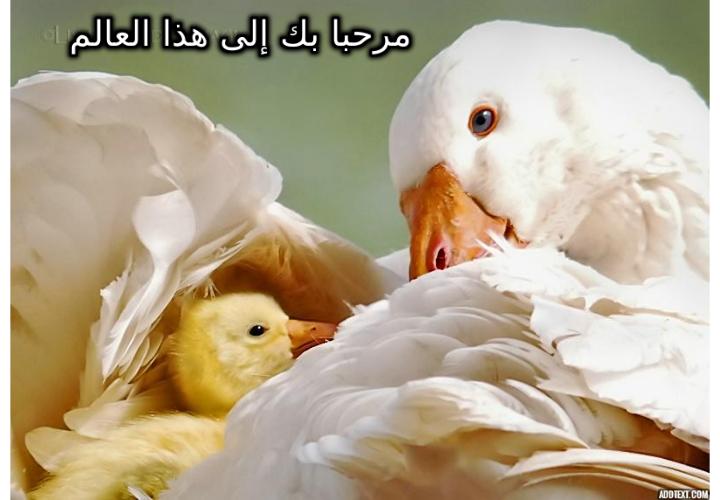 ���� ���� ������ �� ���� ������