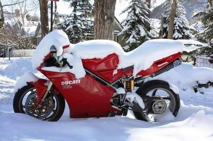 49759135_384250665677170_3032105447638171648_n