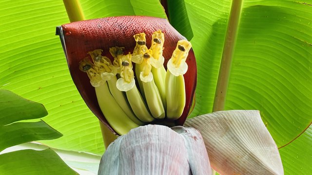 36BE81CC-7E31-40F7-A034-AC6EA3BBDD55