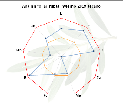 Análisis foliar rubas febrero 2019 Campiña Norte (Jaén) Rubas-inverno-2019-secano