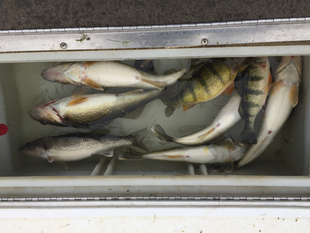 FC4DBD70-C335-4EF1-8DAA-910BEB31E347