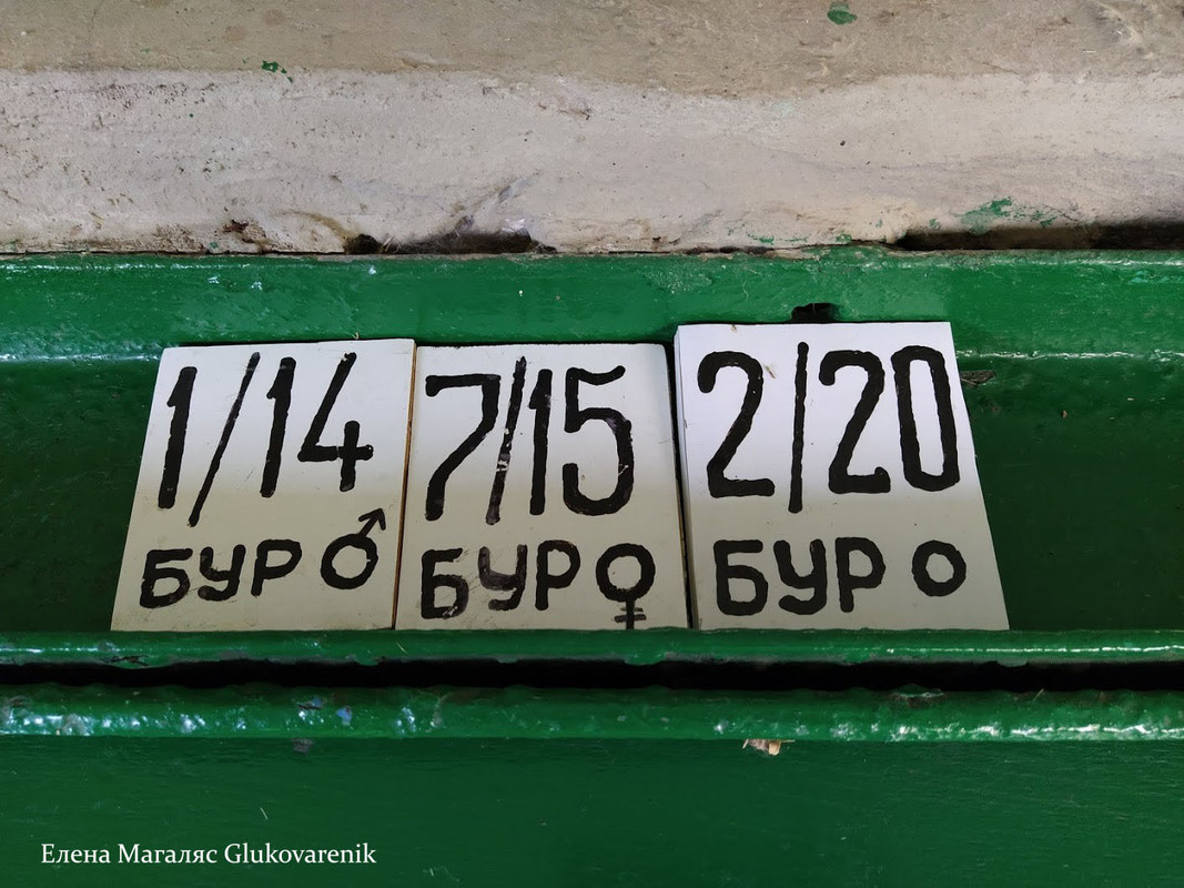 Бобры добры! Бобры добры!