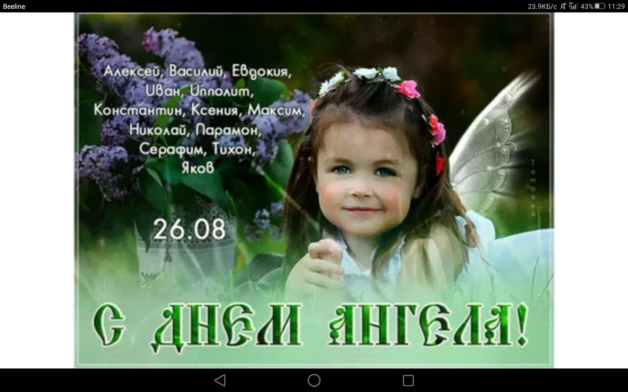 Screenshot_2023-08-26-11-29-17