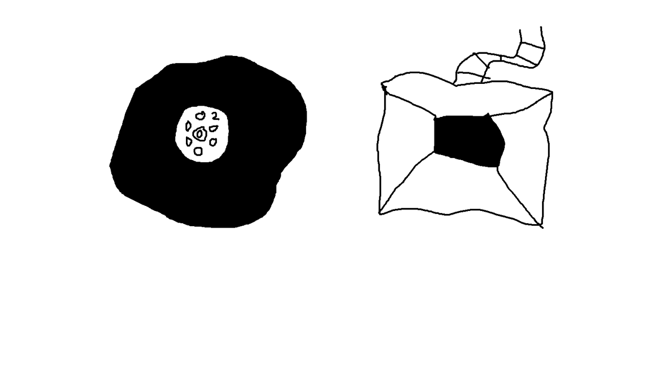 https://i.postimg.cc/T3YFcpXj/what-to-expect.png