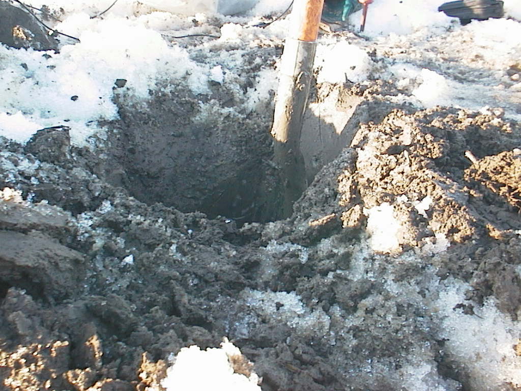 päivänlöydöt15.03.2016 002