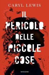 Caryl Lewis – Il pericolo delle piccole cose (2026)