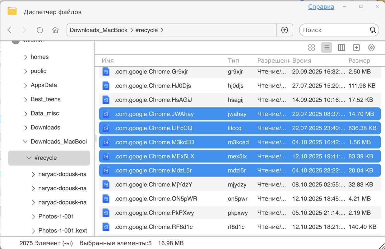 Снимок экрана 2025-10-23 в 20.01.07