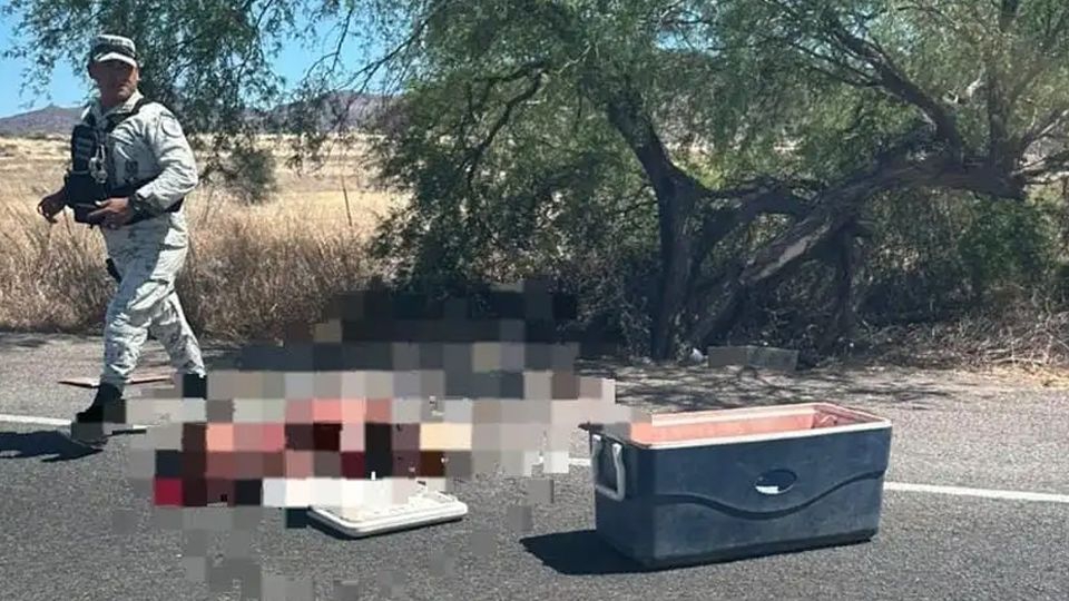 Hielera con restos humanos abandonada en San Carlos