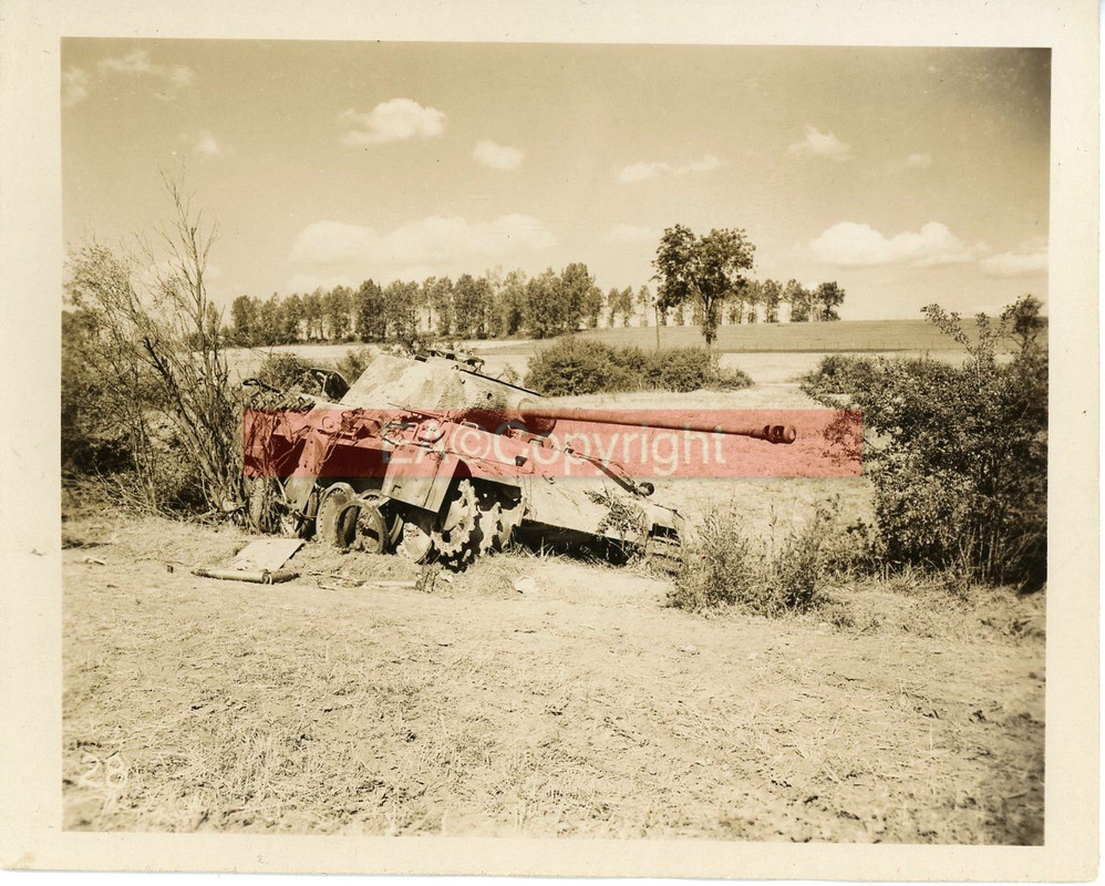 Panther Panzer Tank kämpfe Foto