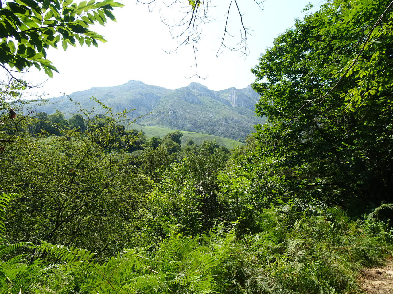 DSC02085