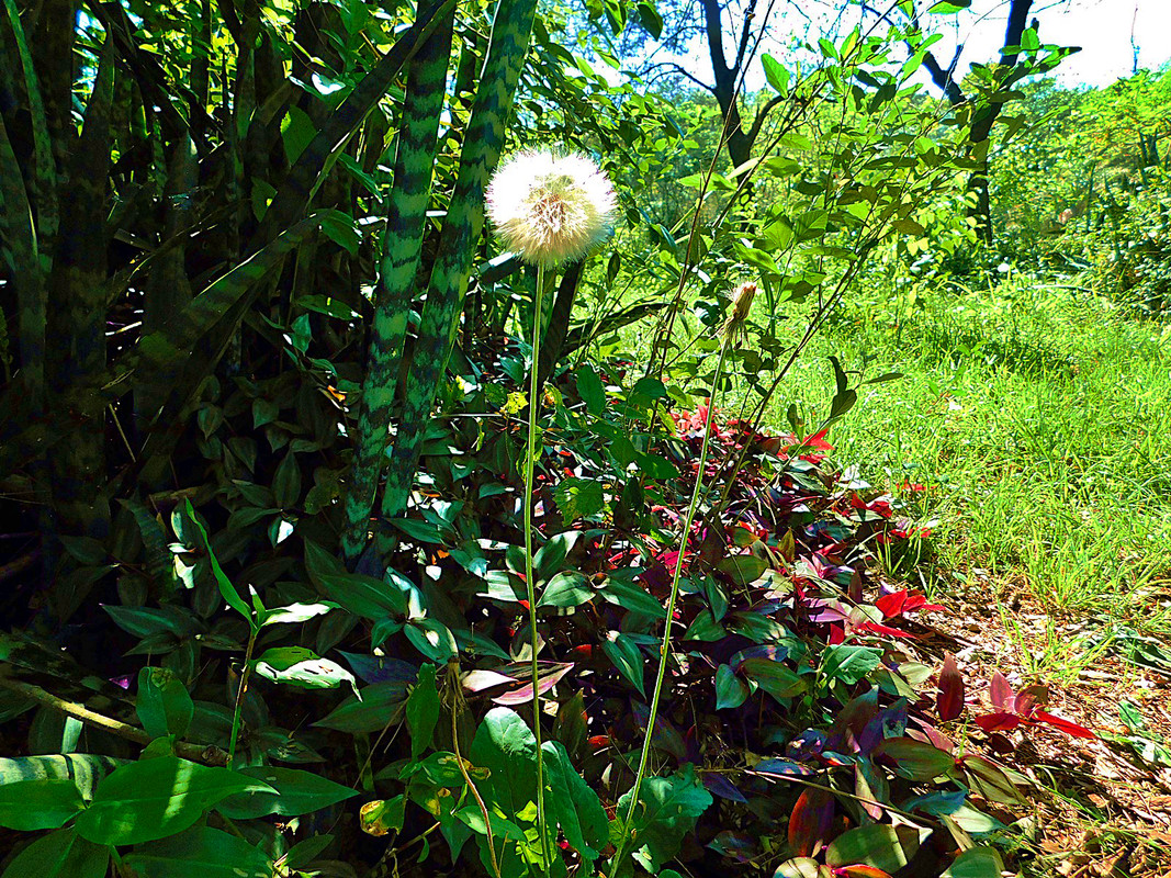 DSCN2013.jpg