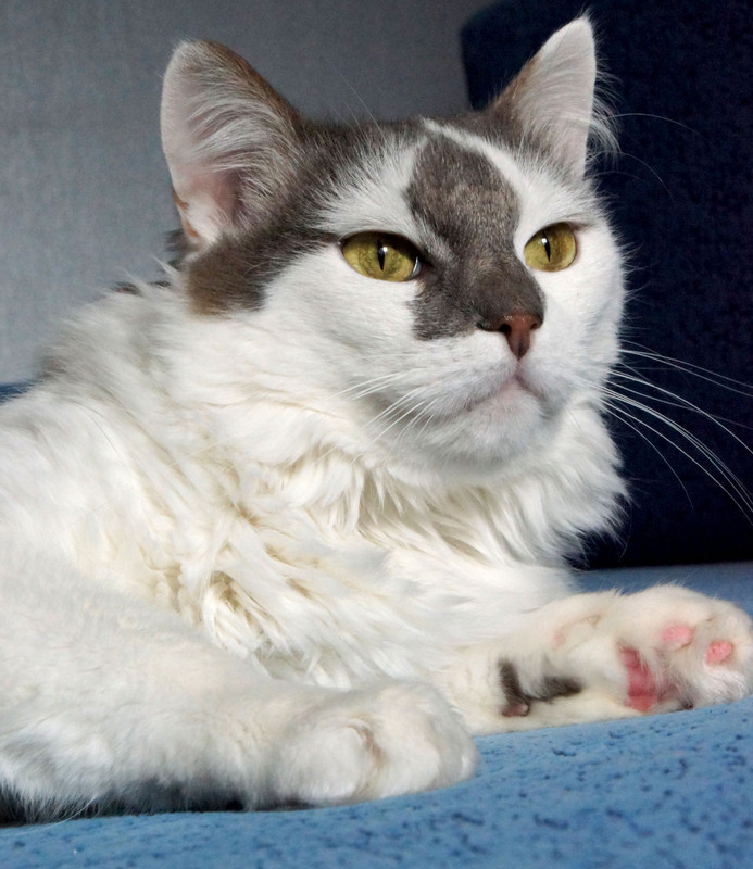 Принцесса (12)