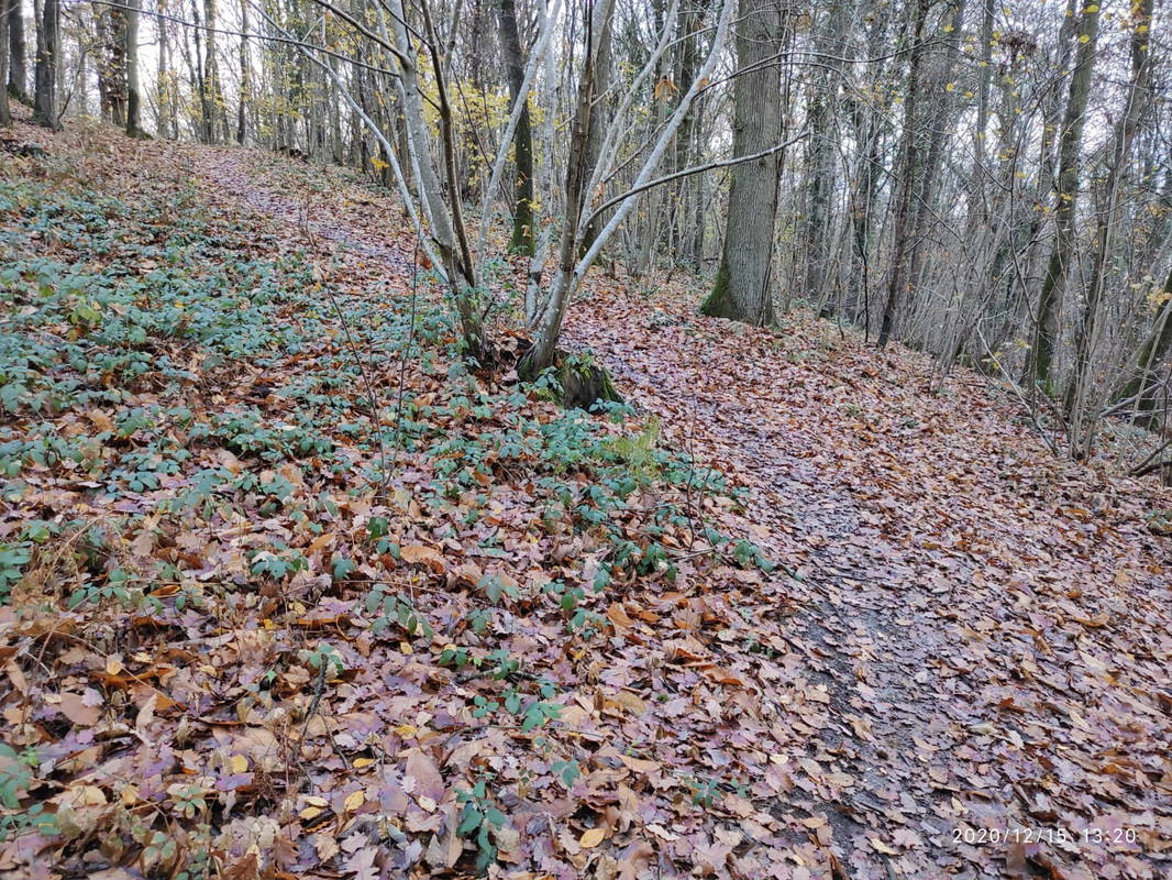 WhatsApp Image 2020-12-15 at 15.07.55 (1)